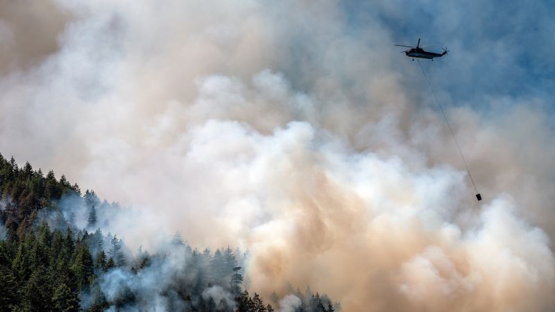 La fumée des incendies de forêt au Canada a atteint la Norvège 4 La fumée des incendies de forêt au Canada a atteint la Norvège - 3