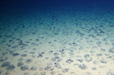La Norvège souhaite ouvrir les eaux arctiques à l'exploitation minière en eaux profondes - 8