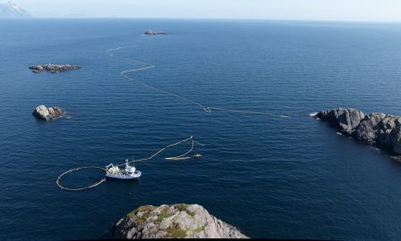 Une expérience financée par les États-Unis tue un petit rorqual en Norvège 2 Une expérience financée par les États-Unis tue un petit rorqual en Norvège - 1