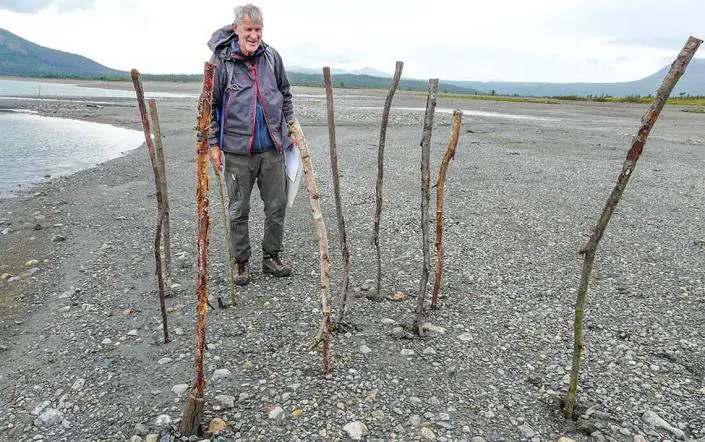 Un biologiste a marqué les poteaux du piège à poissons avec des bâtons plus hauts pour une étude préliminaire.