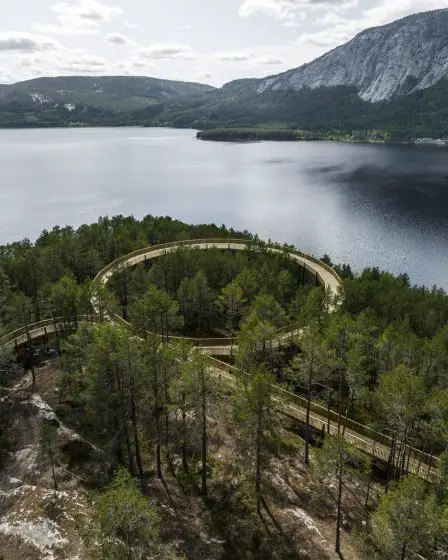 Une passerelle accessible dans les arbres à travers le parc Hamaren en Norvège - 1