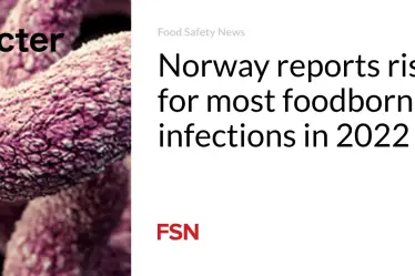 La Norvège signale une augmentation des infections d'origine alimentaire en 2022 - 16