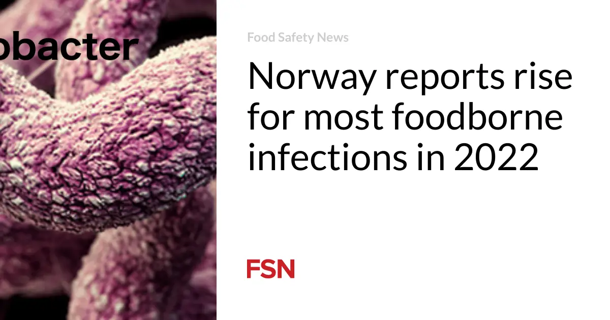La Norvège signale une augmentation des infections d'origine alimentaire en 2022 - 3