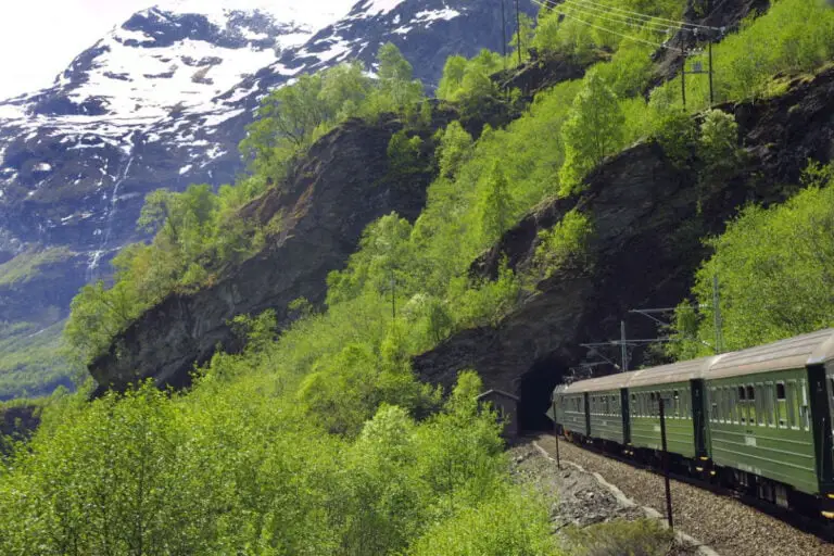 Train Flåm entrant dans un tunnel.