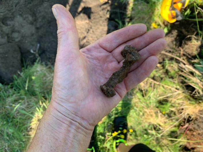 Une structure secrète était probablement cachée dans l'énorme tumulus d'un roi de l'ère viking en Norvège 18 Une photo en gros plan montre le rivet du navire.