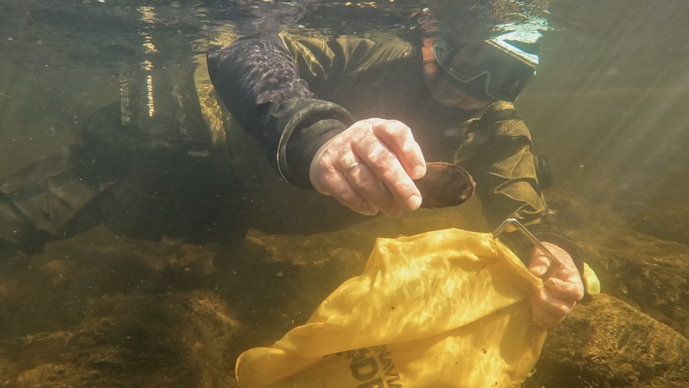 "Nous avons déclaré la guerre au saumon rose" La Norvège lutte contre l'espèce envahissante dans l'Arctique. 58 "Nous avons déclaré la guerre au saumon rose" La Norvège lutte contre l'espèce envahissante dans l'Arctique. - 57