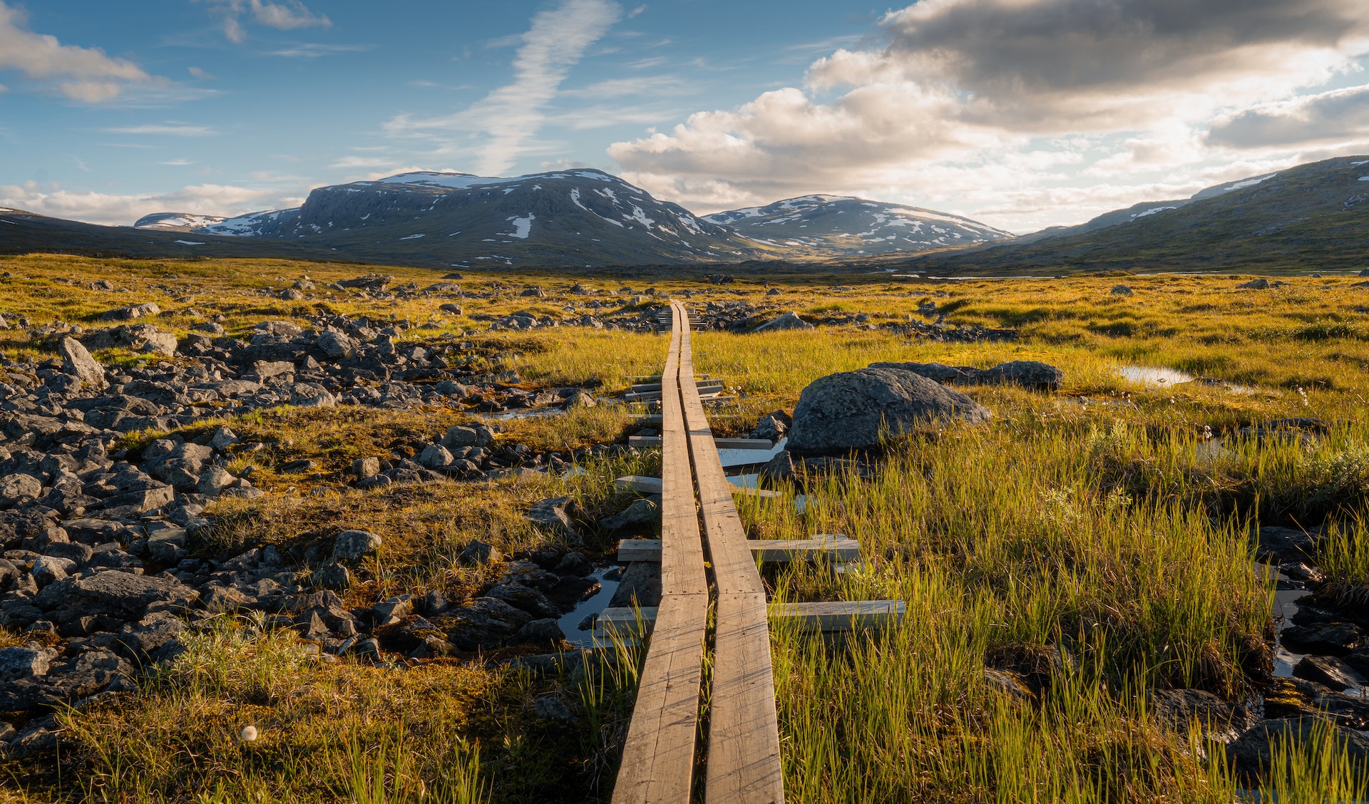 Devriez-vous visiter la Suède ou la Norvège ? 15 iStock-1473146366-RFC.jpg