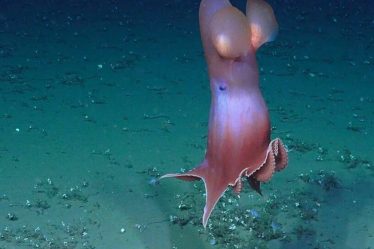 Voici ce que les chercheurs ont trouvé dans le trou le plus profond de Norvège - 8
