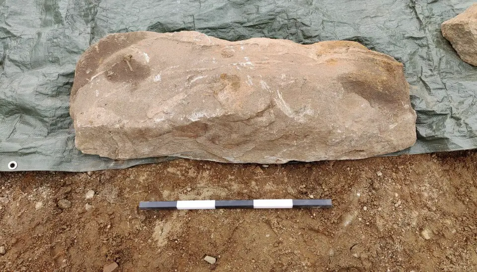 La pierre qui recouvrait la tombe mesure environ 50x100 cm. La tombe de l'arme se trouvait juste sous la pierre, qui était peut-être restée intacte pendant plus de mille ans.