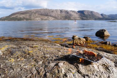Les grillades publiques sont interdites alors que la Norvège est en proie à la chaleur estivale - 15