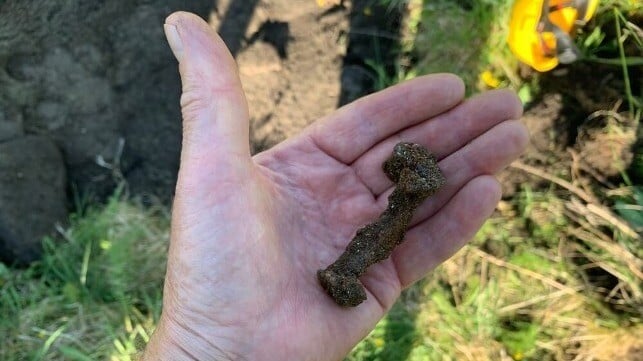 Le plus grand tumulus de Norvège centrale contient probablement la tombe d'un navire 8 Le plus grand tumulus de Norvège centrale contient probablement la tombe d'un navire - 7