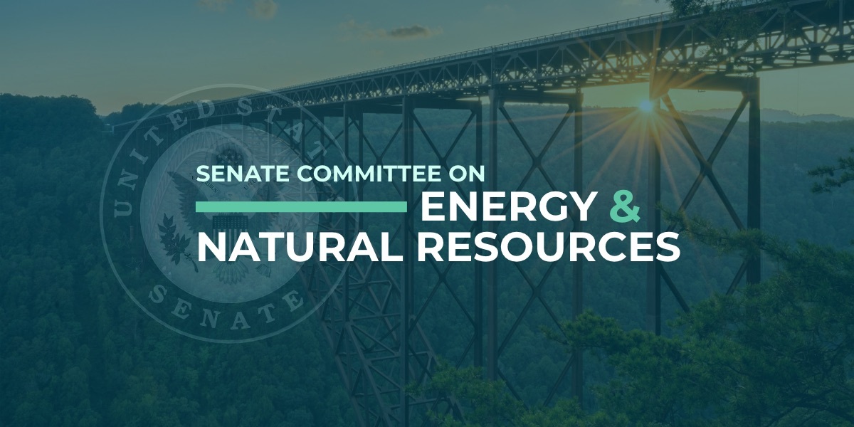 Manchin annonce que des épicéas de Norvège de la forêt nationale de Monongahela serviront de 202... 4 Manchin annonce que des épicéas de Norvège de la forêt nationale de Monongahela serviront de 202... - 3