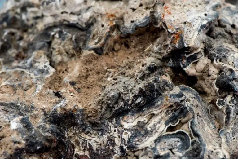 La découverte d'un énorme gisement de phosphate en Norvège pourrait recharger l'industrie des véhicules électriques 18 Roche phosphatée.