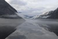 L'été des ours polaires : Une enseignante d'ABQ profite d'une expédition en Norvège pour explorer le monde avec ses élèves | News 40 L'été des ours polaires : Une enseignante d'ABQ profite d'une expédition en Norvège pour explorer le monde avec ses élèves | News - 39