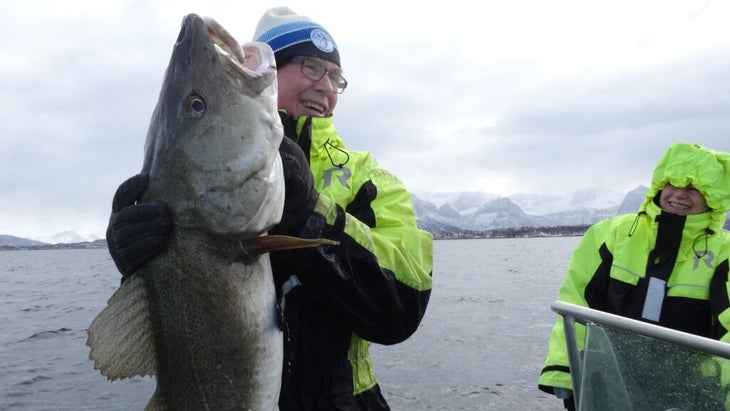 Voici les meilleures cabanes côtières de Norvège 19 Un homme sur un bateau brandit une énorme morue d'au moins un mètre de long.