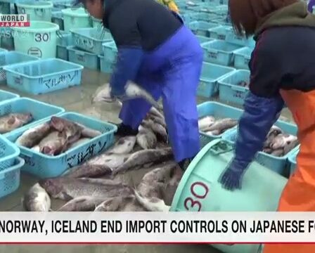 L'UE, la Norvège et l'Islande mettent fin aux contrôles des importations de produits alimentaires japonais liés à l'accident nucléaire - 1