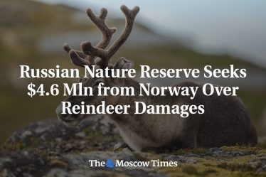 Une réserve naturelle russe demande 4,6 millions de dollars à la Norvège pour les dommages causés par les rennes - 16