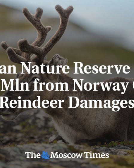 Une réserve naturelle russe demande 4,6 millions de dollars à la Norvège pour les dommages causés par les rennes - 27