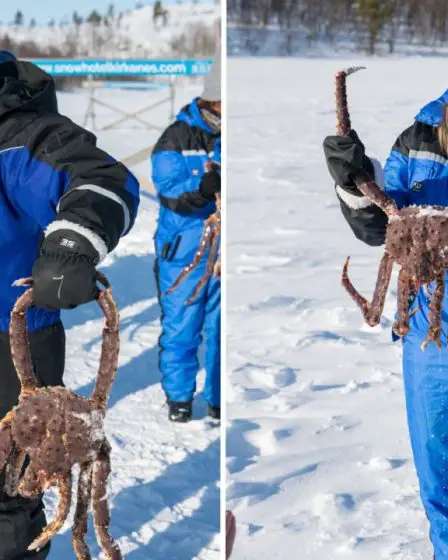J'ai pêché des crabes en Norvège 9 J'ai pêché des crabes en Norvège - 8