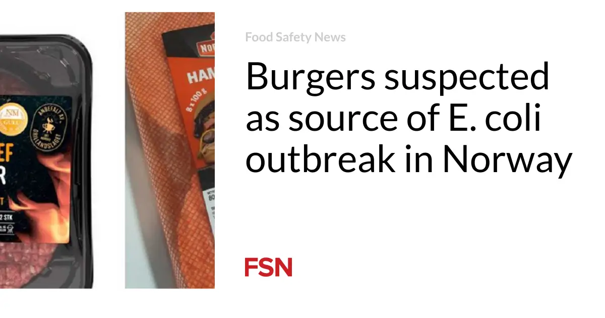 Des hamburgers suspectés d'être à l'origine d'une épidémie d'E. coli en Norvège - 3