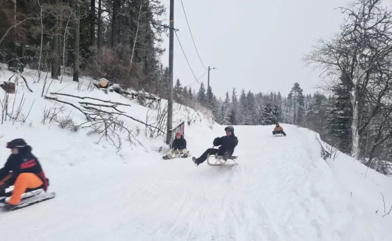 Action de la piste de luge d'Oslo