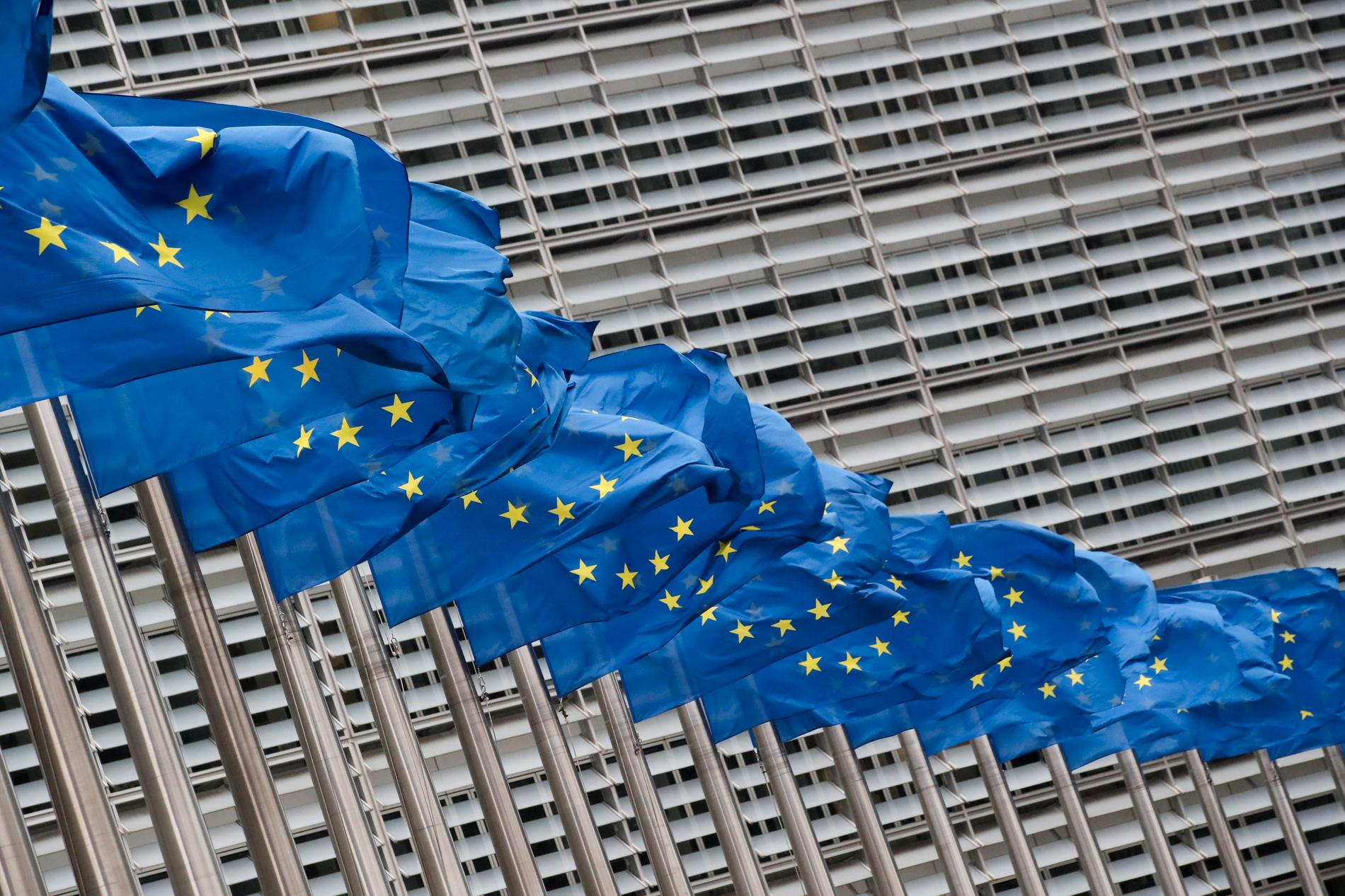 - Comme un voyage décevant sur Tusenfryd - E24 14 - Comme un voyage décevant sur Tusenfryd - E24 - 13