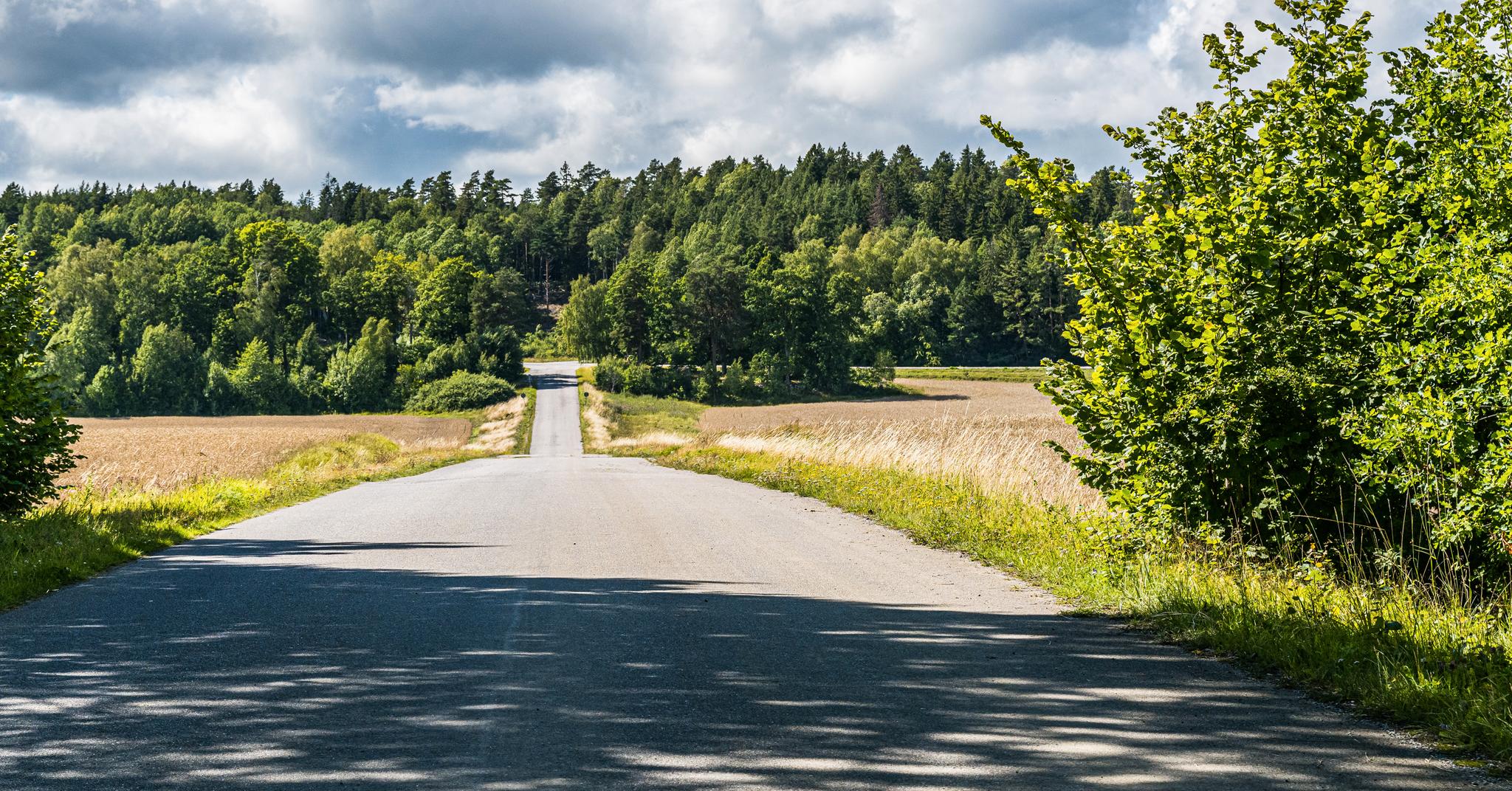 Les adolescents sont utilisés comme criminels en fuite. C’est ainsi que la Suède en est arrivée là. 4 Les adolescents sont utilisés comme criminels en fuite. C’est ainsi que la Suède en est arrivée là. - 3