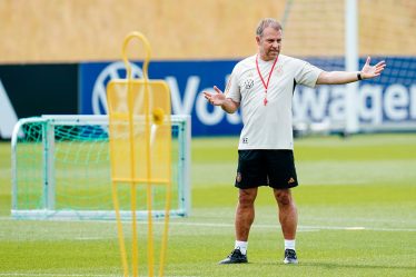 Flick renvoyé de son poste d'entraîneur de l'équipe nationale d'Allemagne - 20