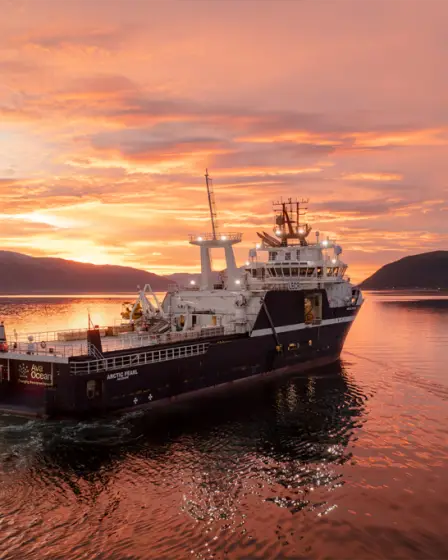 La Norvège a interdit la récolte de coquilles Saint-Jacques dans la mer de Barents. Ava Ocean, finaliste du prix de l'innovation pour les produits de la mer responsables, a proposé une solution technique. - 7