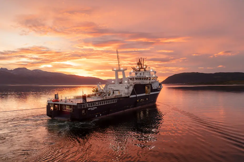 La Norvège a interdit la récolte de coquilles Saint-Jacques dans la mer de Barents. Ava Ocean, finaliste du prix de l'innovation pour les produits de la mer responsables, a proposé une solution technique. - 11