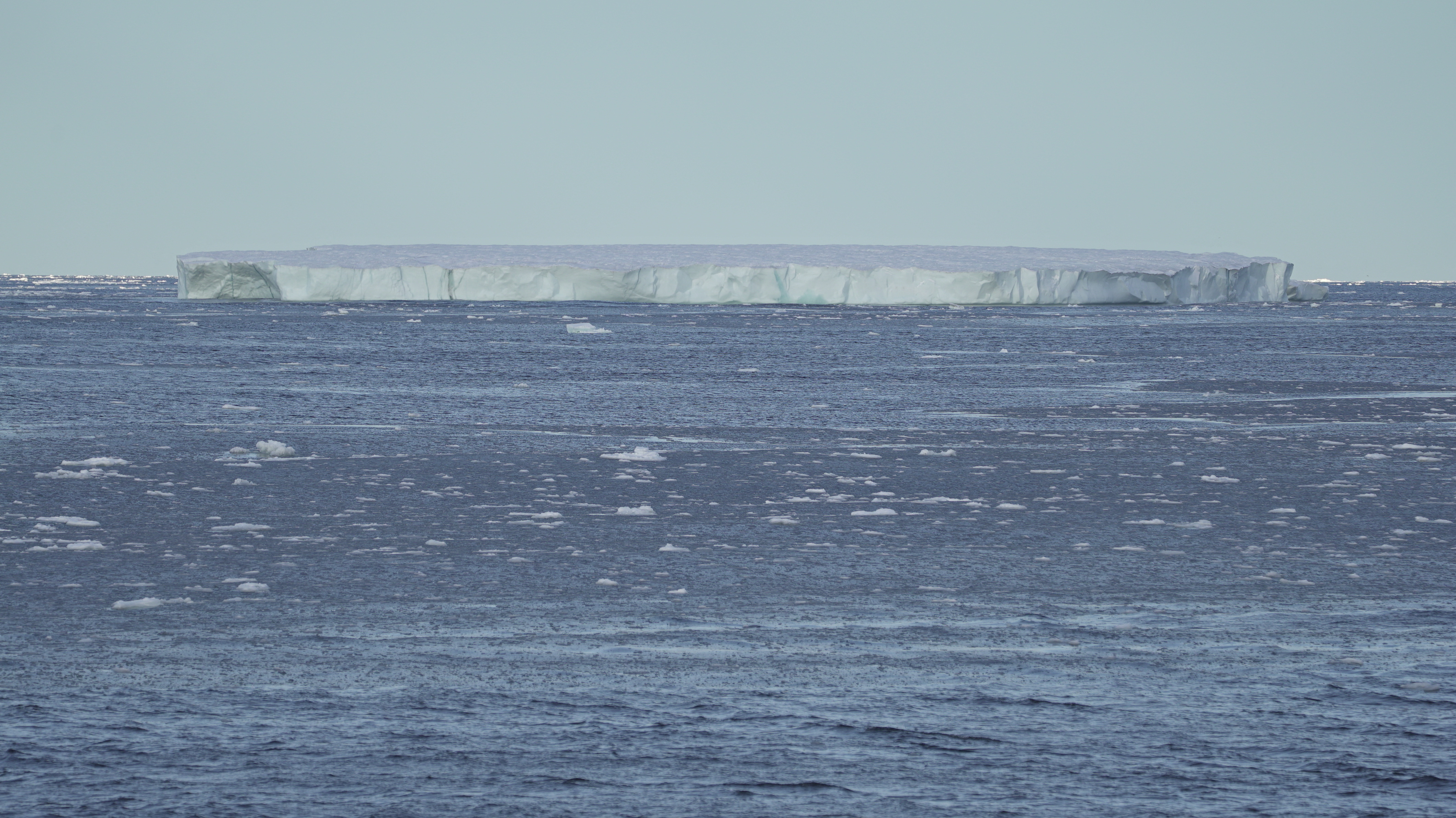 Vue générale de la première grande plaque de glace observée par l'équipage du navire Arctic Sunrise de Greenpeace dans l'océan Arctique.