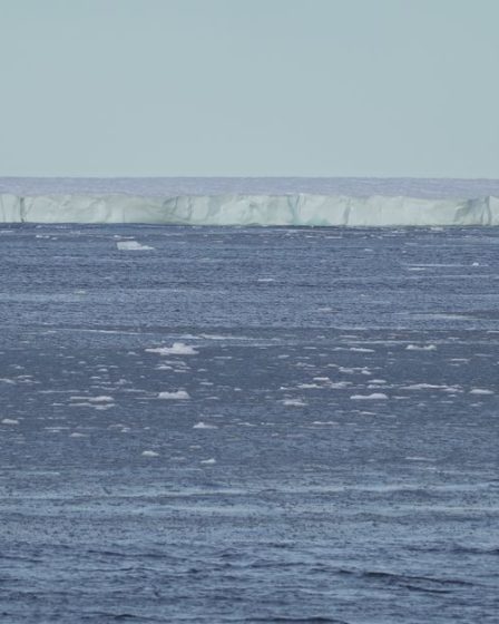 Pourquoi la Norvège veut-elle exploiter les fonds marins ? [DOSSIER] - 28