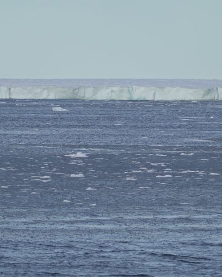 Pourquoi la Norvège veut-elle exploiter les fonds marins ? [DOSSIER] - 20