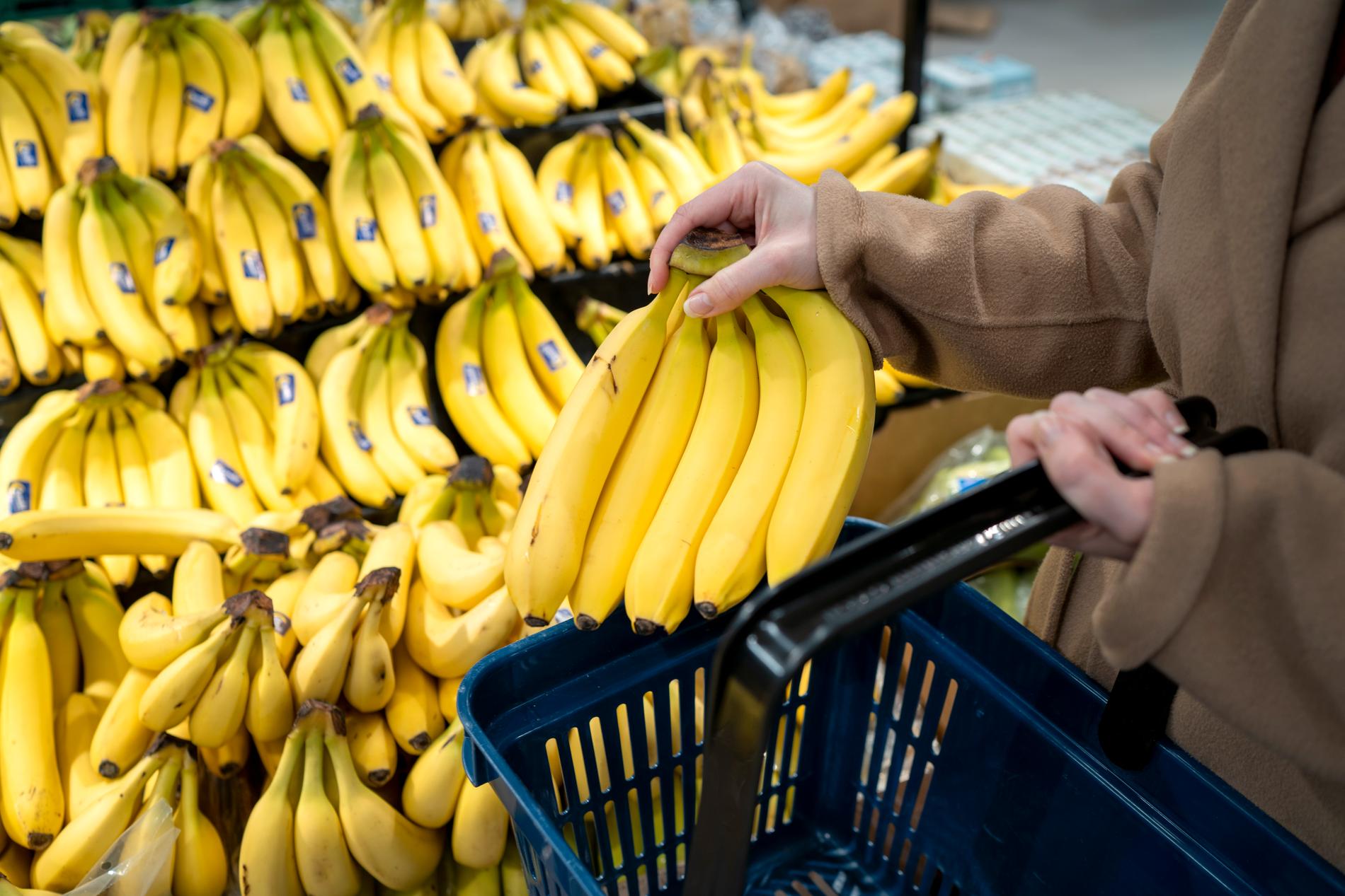 Les prix des denrées alimentaires ont chuté de 0,8 pour cent en août - E24 6 Les prix des denrées alimentaires ont chuté de 0,8 pour cent en août - E24 - 5