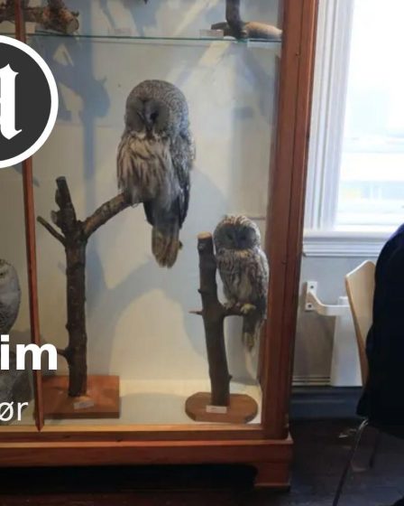 Même dans la marge d’erreur, il n’y a aucune consolation pour l’aigle parmi les partis - 10