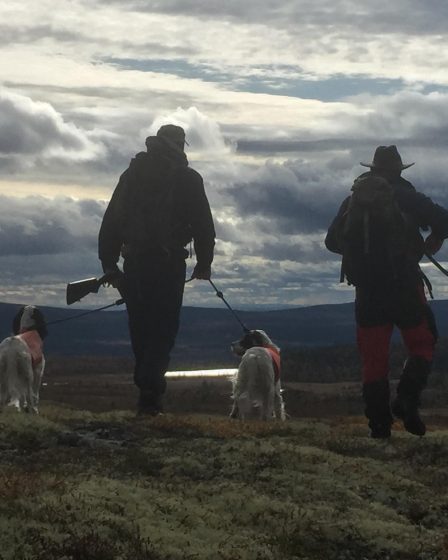 La chasse aux munitions légales après une interdiction controversée 2 La chasse aux munitions légales après une interdiction controversée - 1