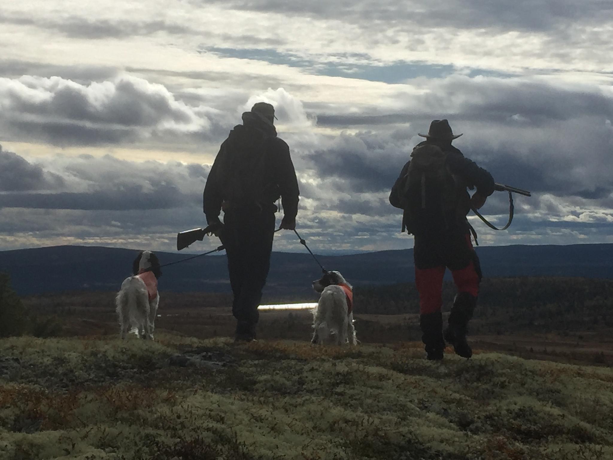 La chasse aux munitions légales après une interdiction controversée 8 La chasse aux munitions légales après une interdiction controversée - 7