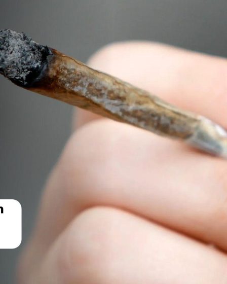 Chaque fois que les débatteurs de l’école mentionnaient les joints, le cannabis et les drogues, ils recevaient des applaudissements. 29 Chaque fois que les débatteurs de l’école mentionnaient les joints, le cannabis et les drogues, ils recevaient des applaudissements. - 28