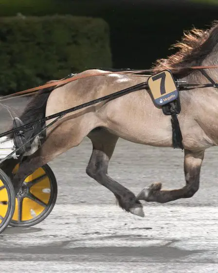 Ce cheval a reçu un entraînement mental avant le Derby d'aujourd'hui - 5