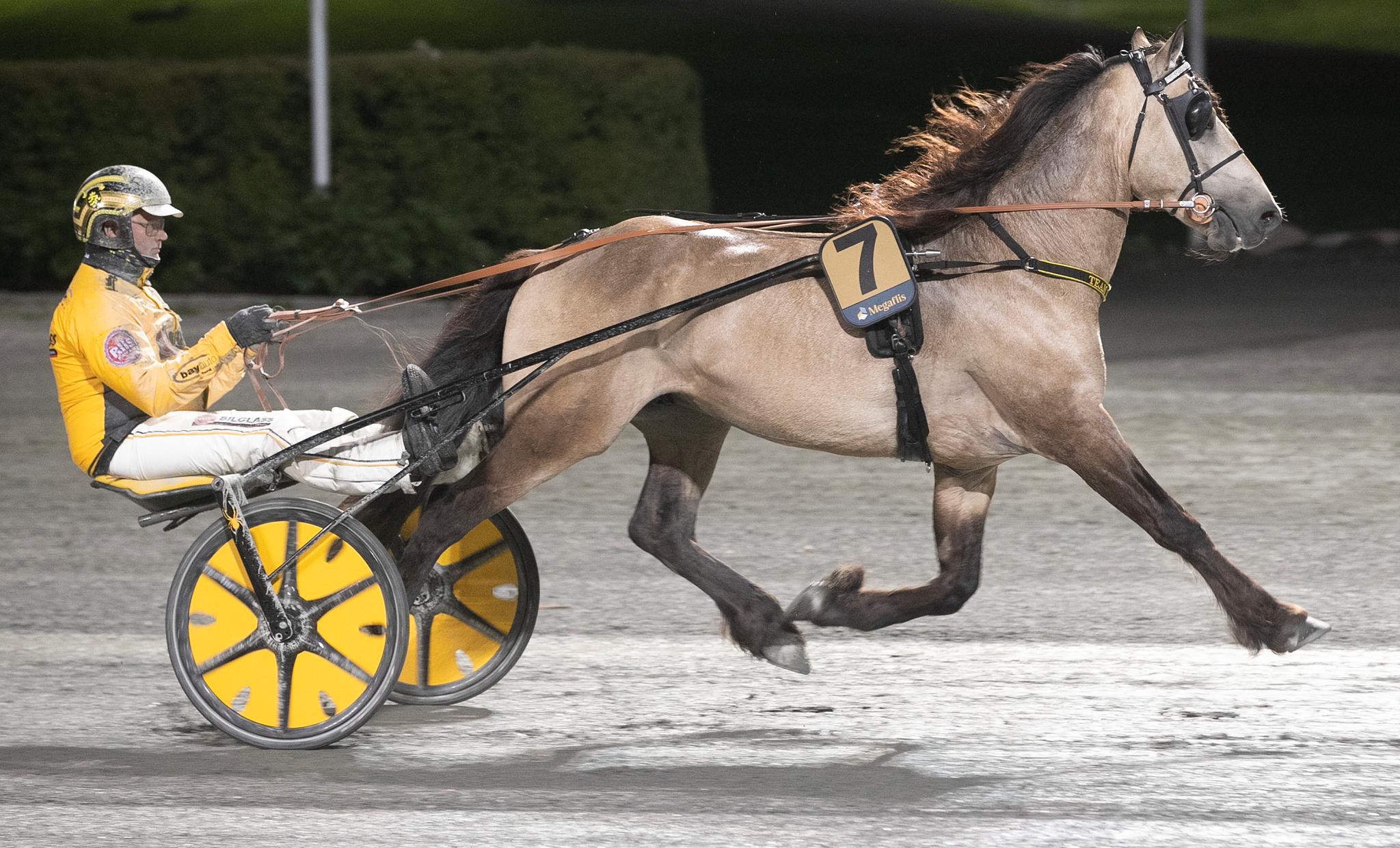 Ce cheval a reçu un entraînement mental avant le Derby d'aujourd'hui 4 Ce cheval a reçu un entraînement mental avant le Derby d'aujourd'hui - 3