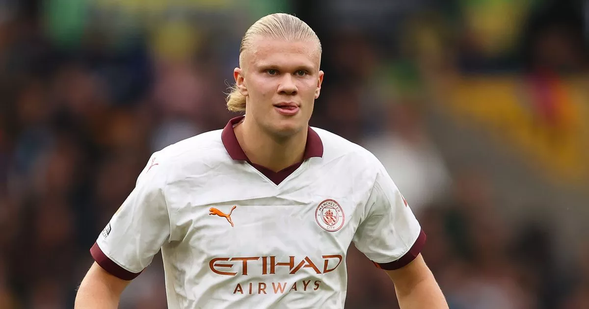 "Nous apprendrons" – Erling Haaland fait un vœu à Manchester City après la défaite des Wolves. 4 "Nous apprendrons" – Erling Haaland fait un vœu à Manchester City après la défaite des Wolves. - 3