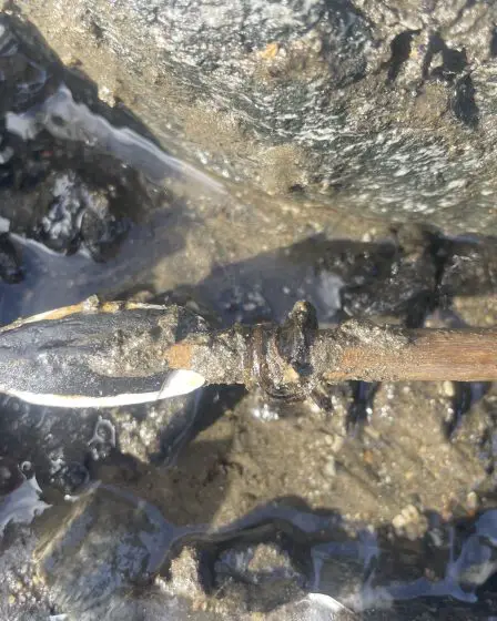 La fonte de la glace glaciaire en Norvège révèle une flèche intacte datant de l'âge du bronze 11 La fonte de la glace glaciaire en Norvège révèle une flèche intacte datant de l'âge du bronze - 10