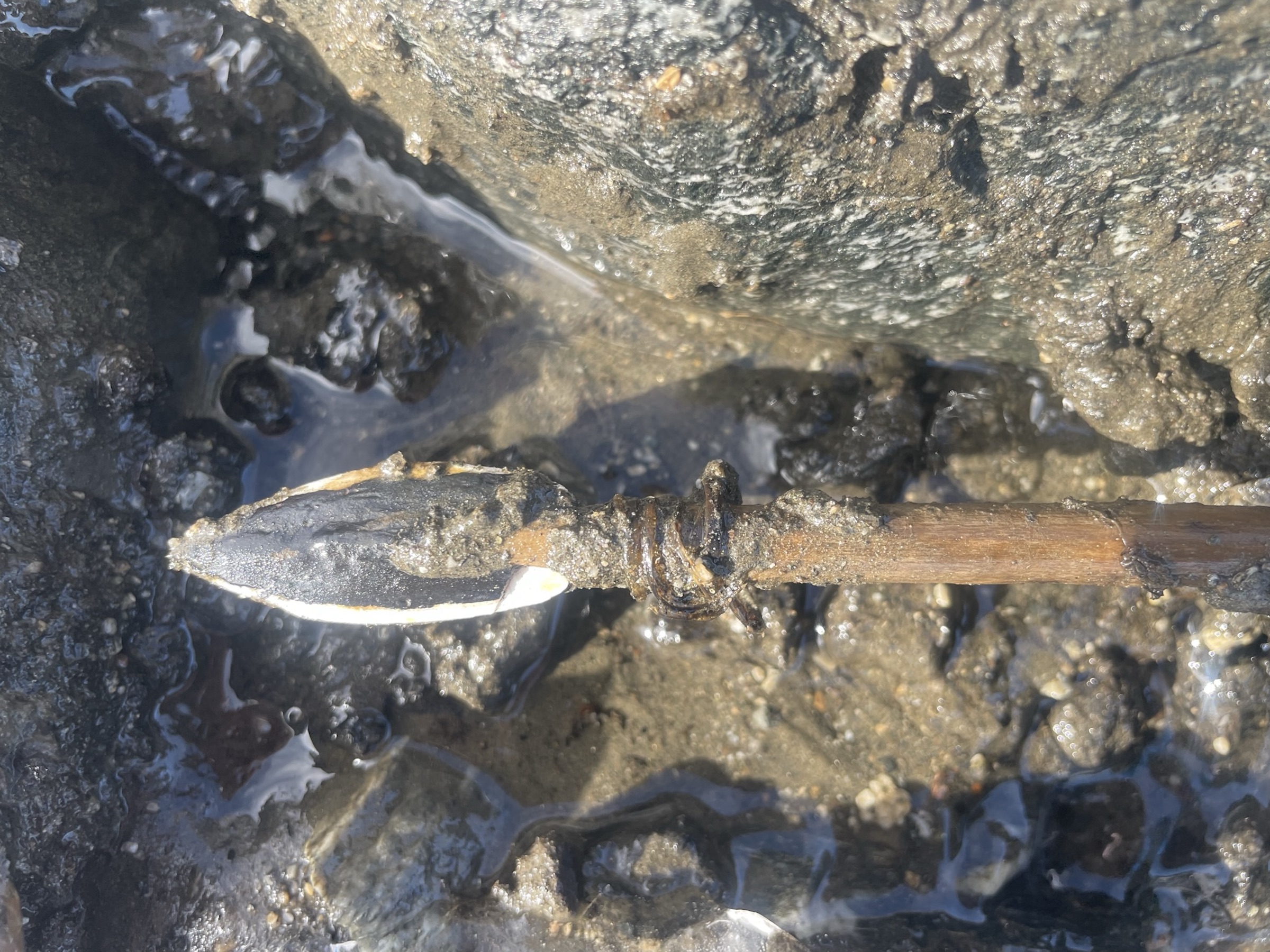 La fonte de la glace glaciaire en Norvège révèle une flèche intacte datant de l'âge du bronze 16 La fonte de la glace glaciaire en Norvège révèle une flèche intacte datant de l'âge du bronze - 15