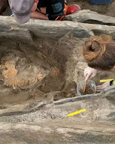 Une tombe vieille de 4 000 ans découverte en Norvège pourrait abriter les premiers agriculteurs de la région - 8