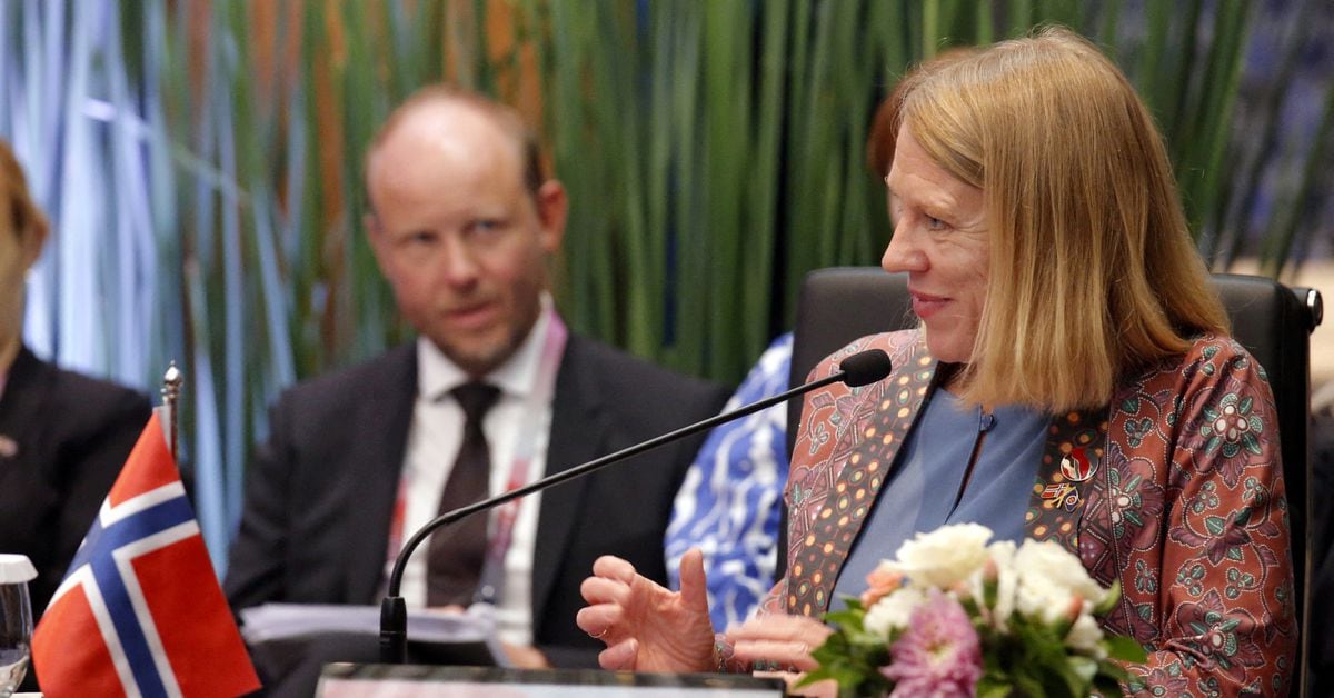 Le ministre norvégien des affaires étrangères est limogé lors d'un remaniement ministériel - 3