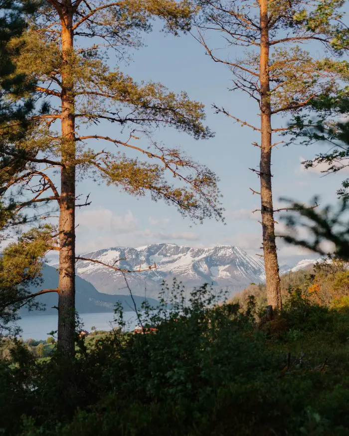 Chez les Flakks, dans les fjords de l'ouest de la Norvège 31 Storfjorden, vue de la baie de Glomseth de l'hôtel Storfjord