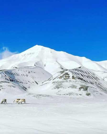 Mon nouvel endroit préféré en Europe pendant l'hiver est la Norvège. Voici pourquoi. 14 Mon nouvel endroit préféré en Europe pendant l'hiver est la Norvège. Voici pourquoi. - 13