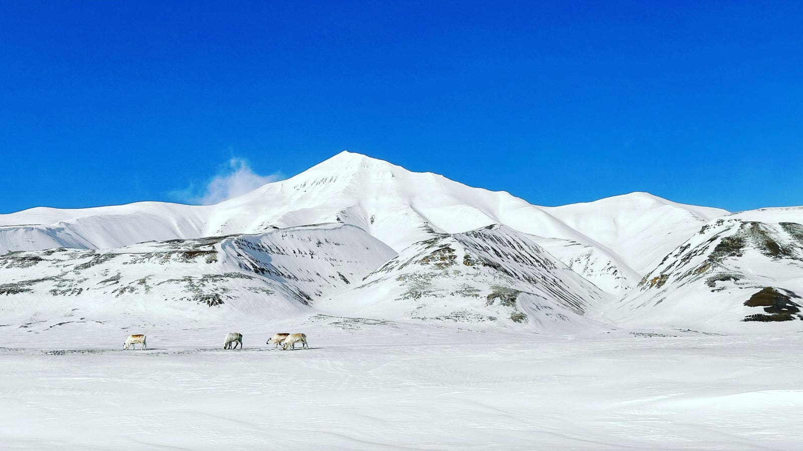 Mon nouvel endroit préféré en Europe pendant l'hiver est la Norvège. Voici pourquoi. 4 Mon nouvel endroit préféré en Europe pendant l'hiver est la Norvège. Voici pourquoi. - 3