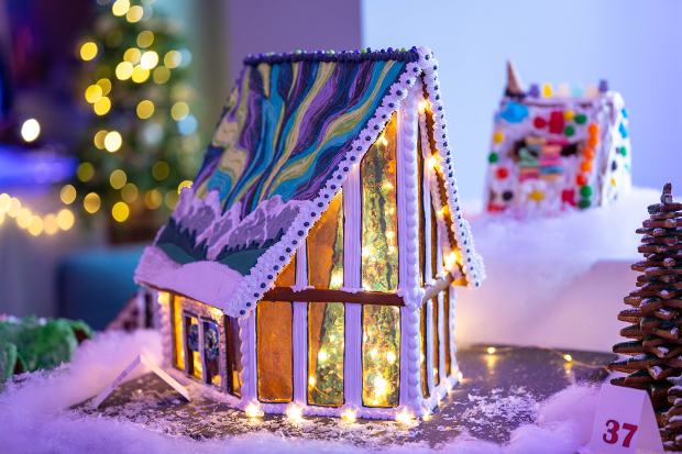Découvrez les gagnants du concours Norway House - Twin Cities 73 Une structure en forme de cadre avec des fenêtres transparentes, à travers lesquelles vous pouvez voir un arbre de Noël. Le toit est peint pour ressembler à une aurore boréale.