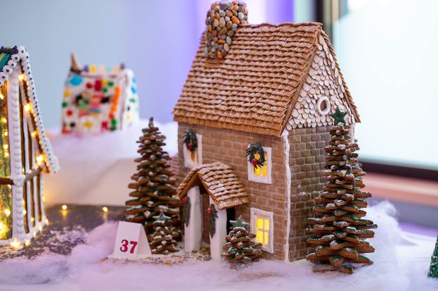 Découvrez les gagnants du concours Norway House - Twin Cities 76 Une grande maison en pain d'épices entourée d'arbres à pommes de pin.
